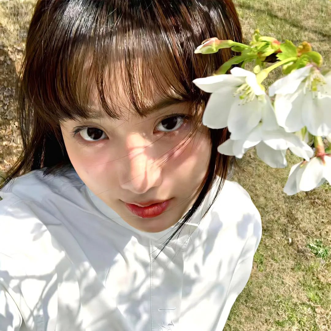 吴郭鱼